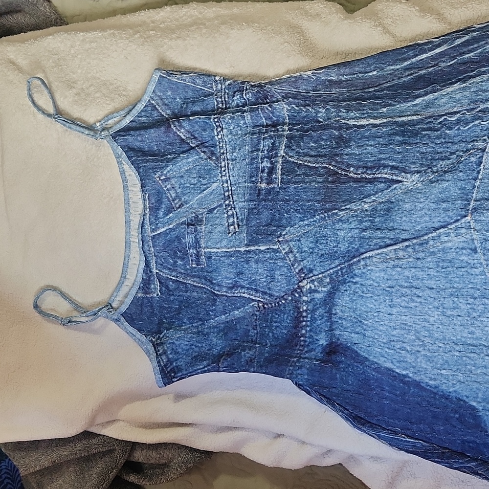 Women's Blue Denim Dress